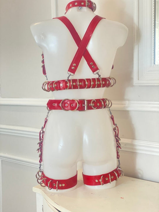 Latex d ring harness set