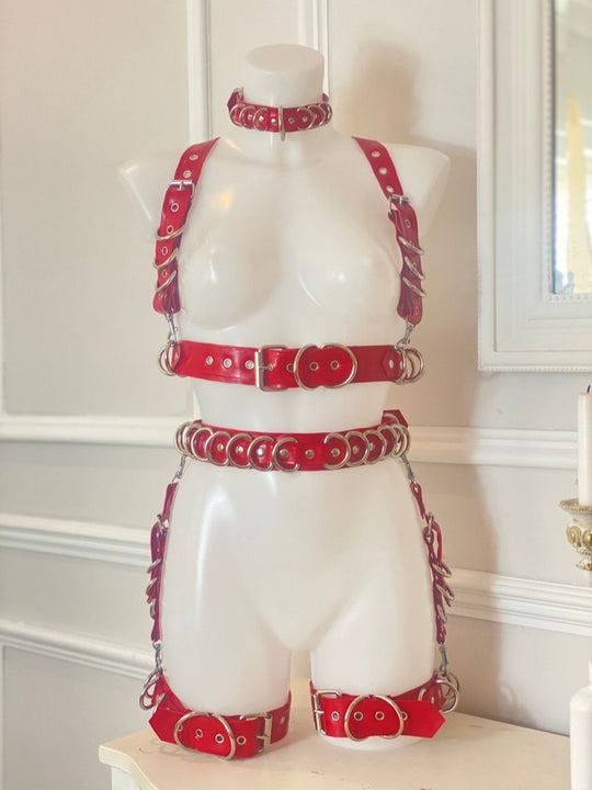 Latex d ring harness set