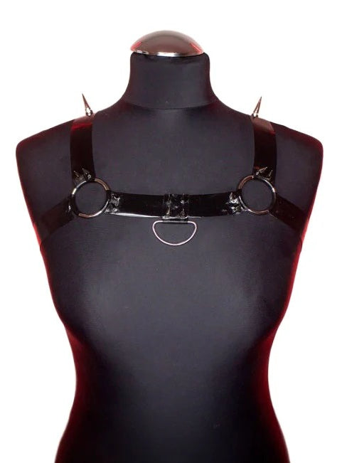 Latex Harness Custom Made to fit