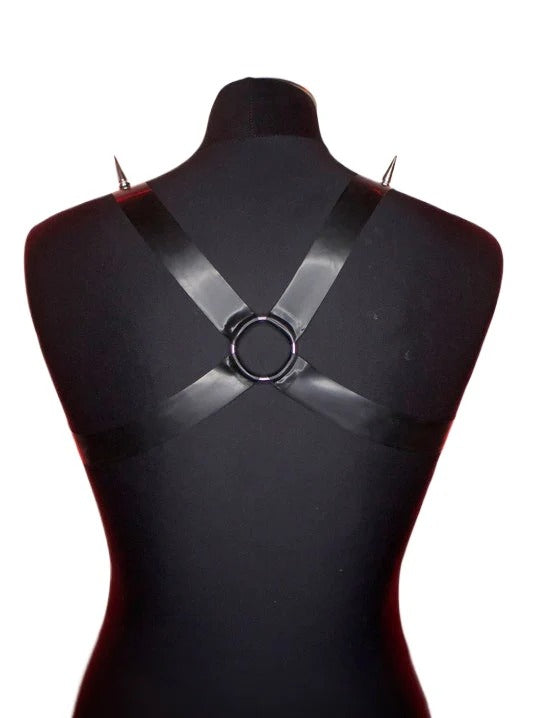 Latex Harness Custom Made to fit